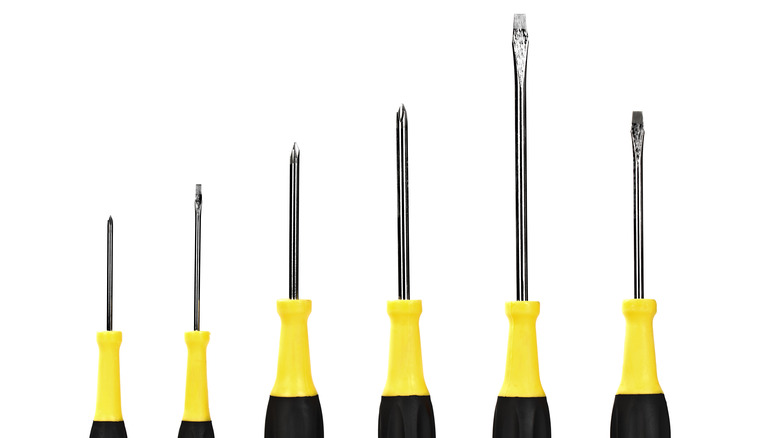 screwdrivers of different sizes