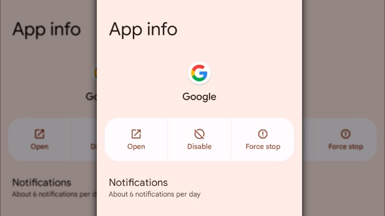 Google App info screen