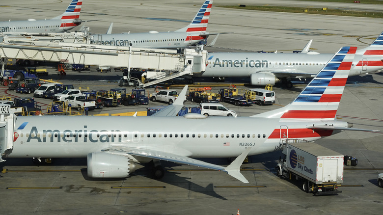 Lineup of American Airlines planes in the terminal