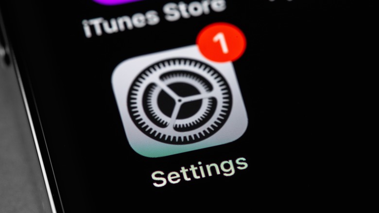 iOS settings app icon