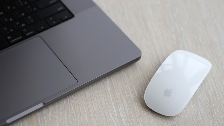 Gray MacBook with a trackpad and Apple Magic Mouse on table