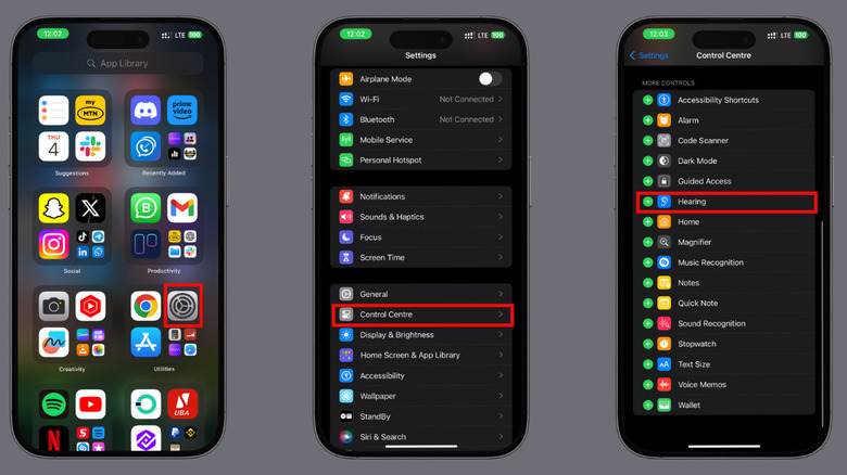 adding hearing icon to iPhone control center