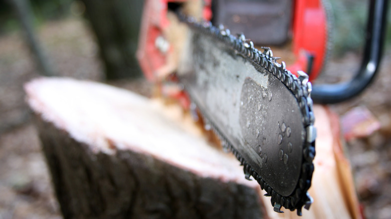 Close up of chainsaw blade