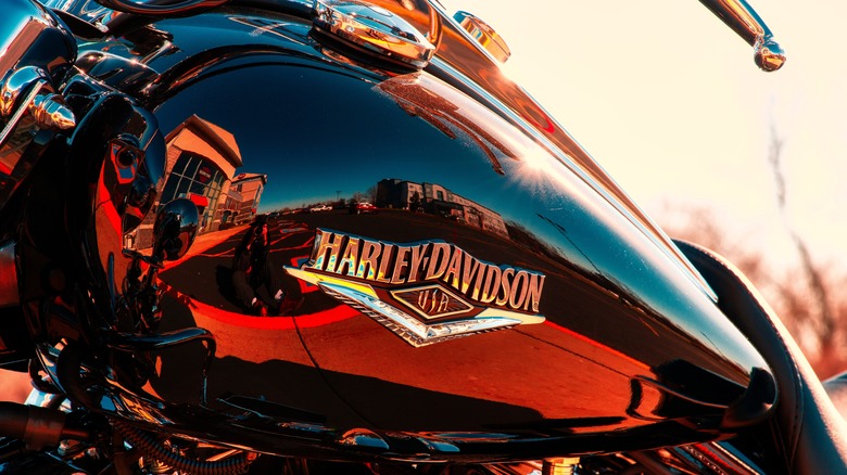 Harley-Davidson logo on gas tank