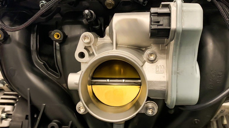 Throttle body and butterfly valve