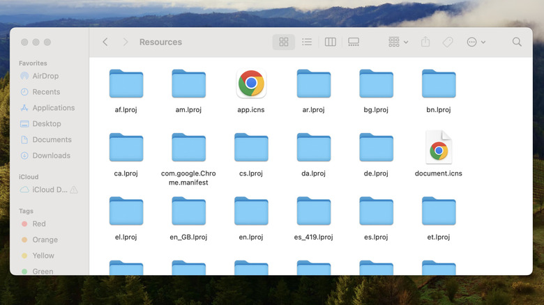 Resources folder in Mac showing language files