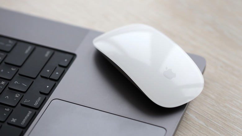 Magic Mouse 