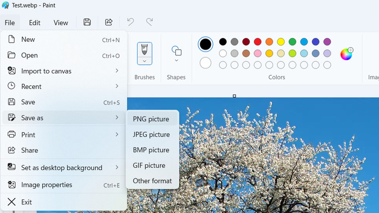 Paint app showing save as option