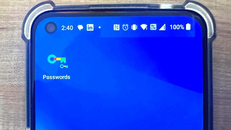 Google passwords homescreen icon