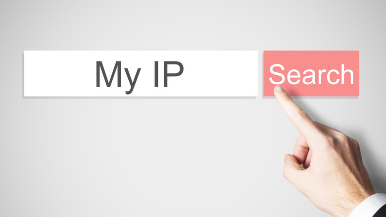 IP address search