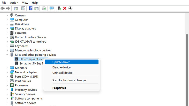 Windows Device Manager with mouse driver highlighted