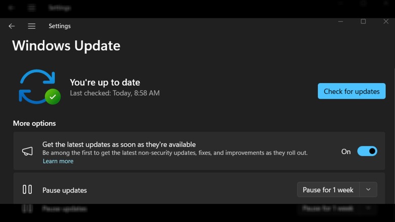 Windows Update screen in Windows 11