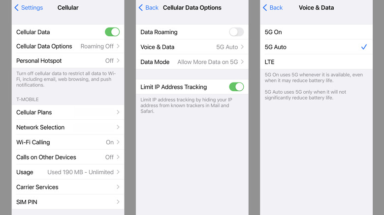 Adjusting Cellular Data options on iPhone