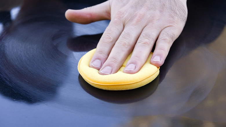 Applying wax on car paint