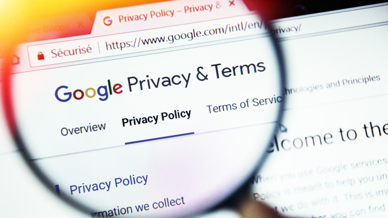 magnified Google privacy page