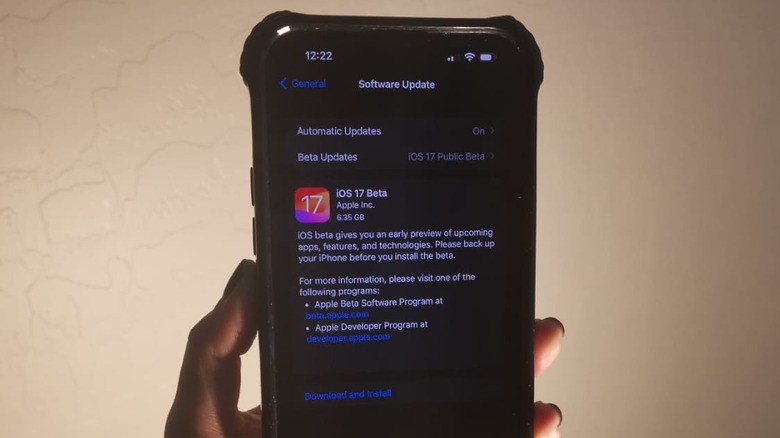 iphone ios 17 beta update screen