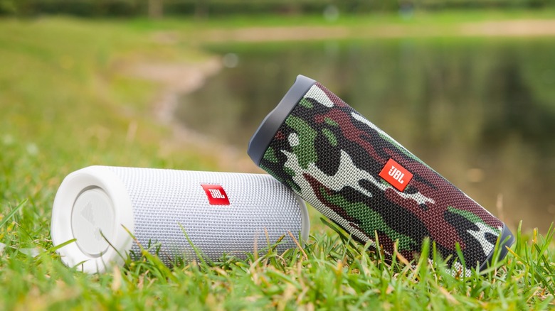 Two JBL speakers in the grass