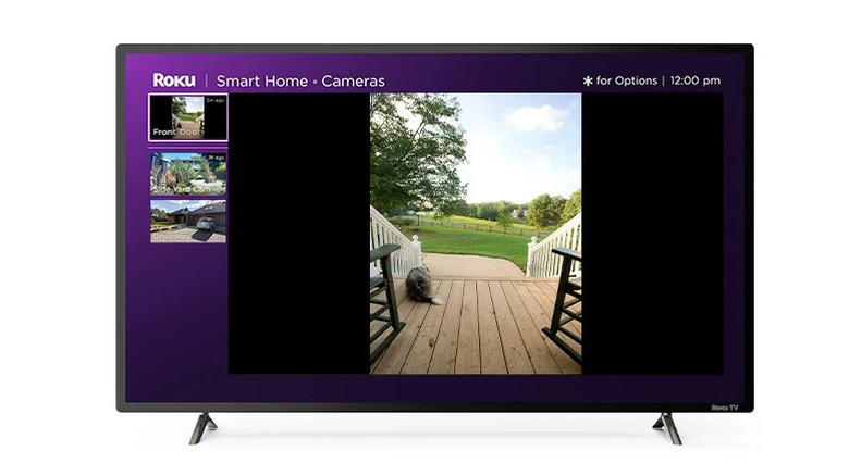 Roku smart home cameras feed on TV screen