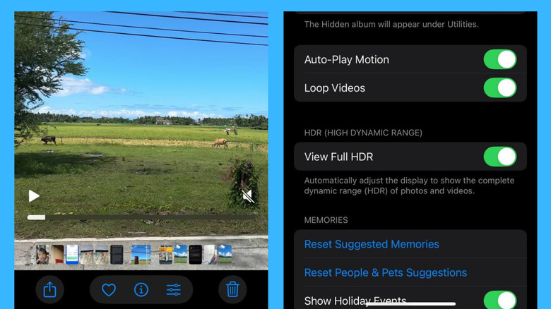 iPhone Photos app playing a video and Photos settings showing Loop Video option