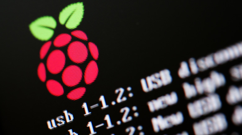 Close up of Raspberry Pi boot screen