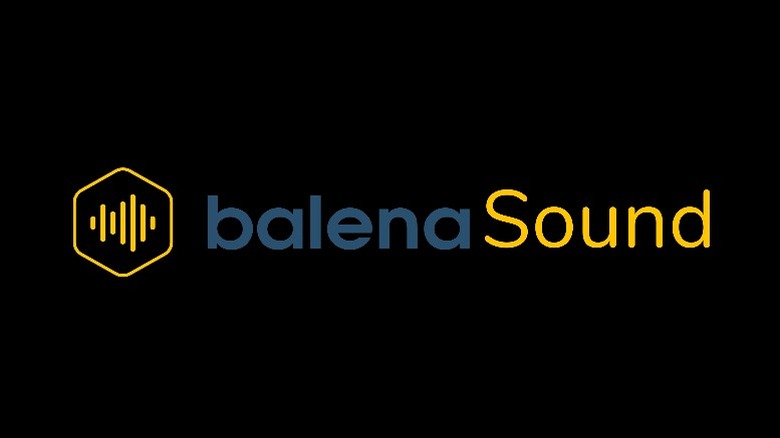 balenaSound logo