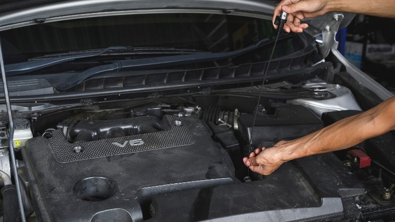 person checking transmission fluid dipstick