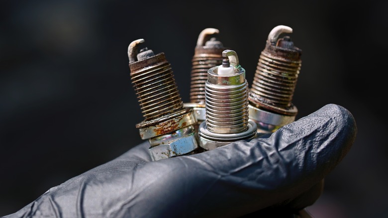 Hand holding four spark plugs