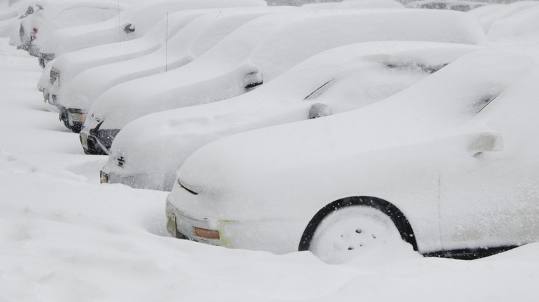 a row of snow-covered cars