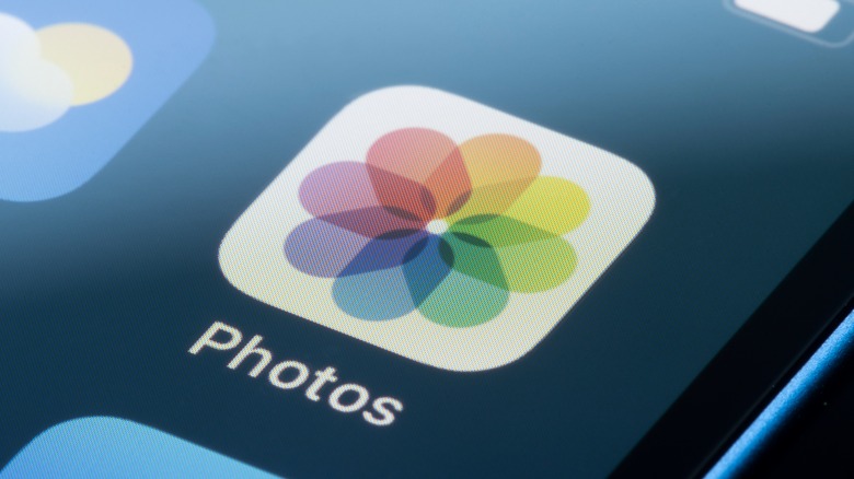 Apple Photos app