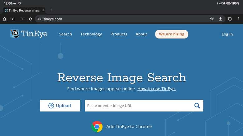 TinEye website on mobile Chrome