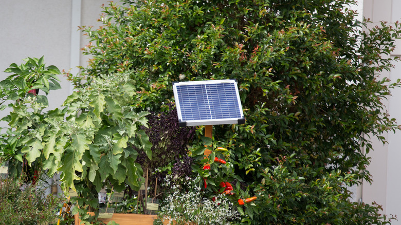 small solar panel in garden