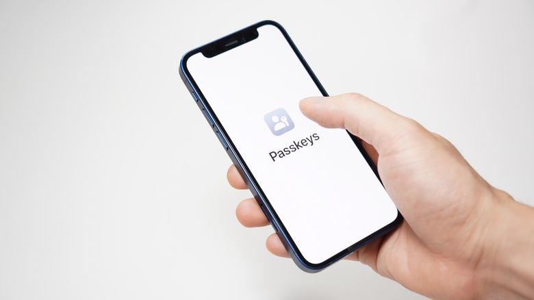 iPhone 12 Pro Apple Passkeys 