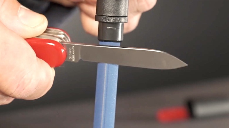 Person sharpening Swiss Army Knife