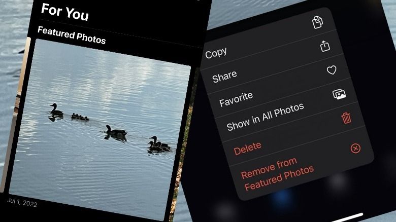 Screenshot of iOS Photos app