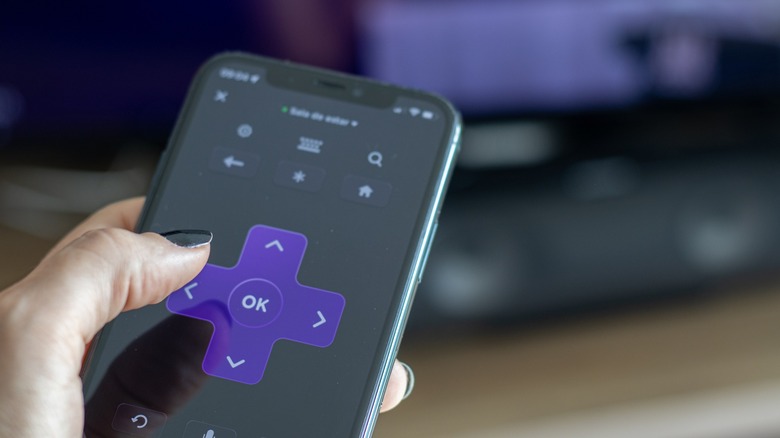 Roku mobile app with slide and touch remote features