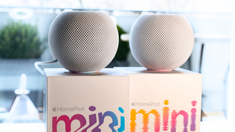 Two Apple HomePod minis 