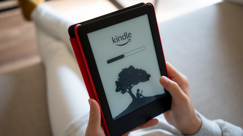 person holding Kindle reader