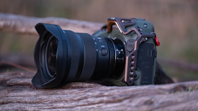 Nikon Z8 with Nikkor Z 14-24mm f2.8 S on a log.