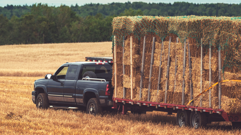 pickup truck hauling hay bales