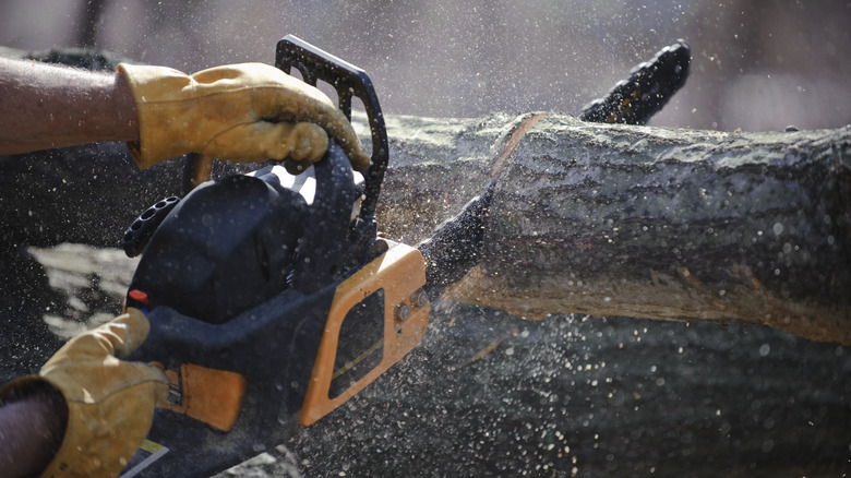 Chainsaw cutting through log