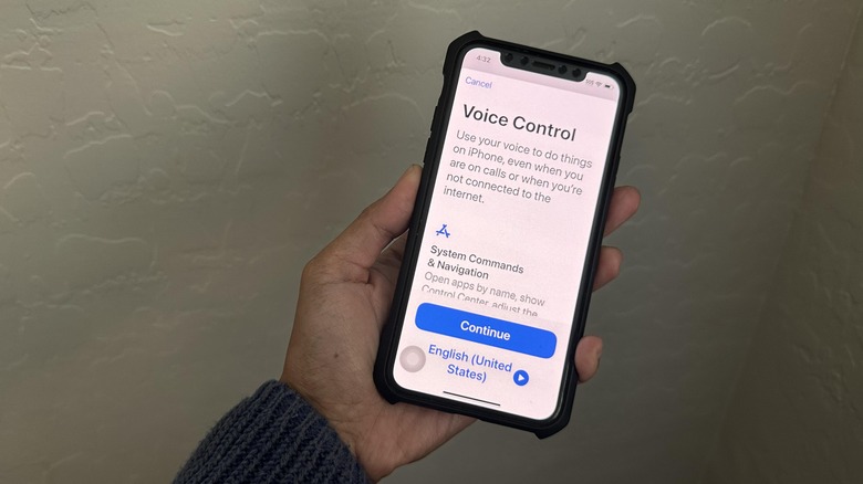 iPhone voice control page