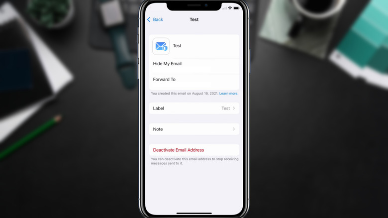 Apple iPhone Hide My Email settings menu