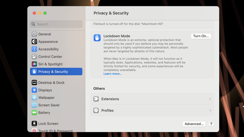 macOS Privacy & Security settings panel