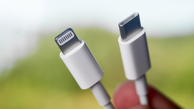 usb-c and lightning cable