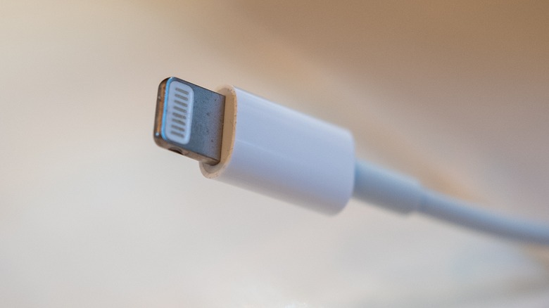 iPhone Lightning Cable