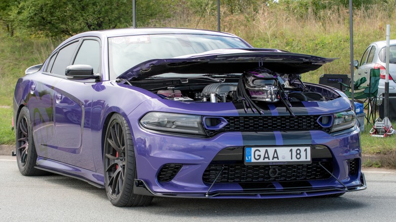 Dodge Charger Plum Crazy purple paint