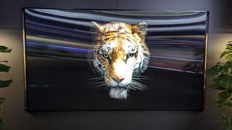 tiger Hisense's 3D TV