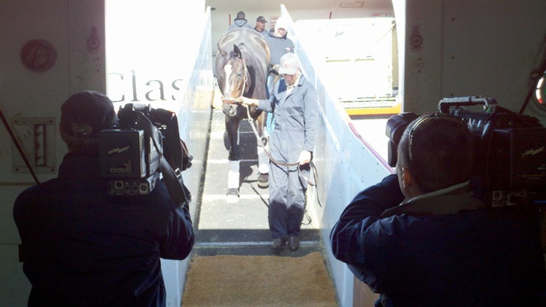 Horse disembarking from Air Horse One