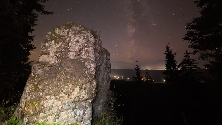 Rock with dark trees in night.