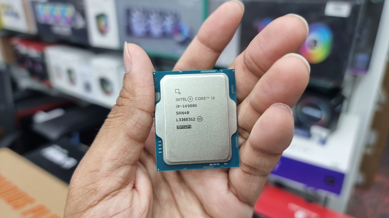 Person holding Intel CPU